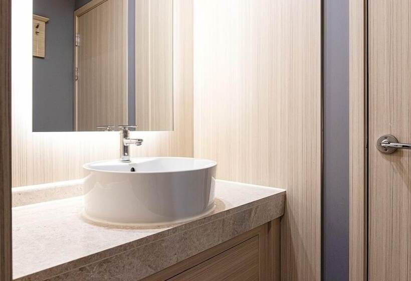 高级大房间, The One