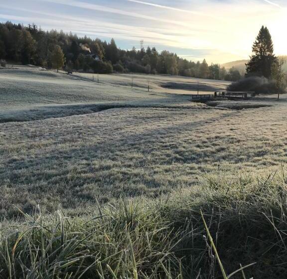 발코니 디럭스 룸, Bergschlössl Herrenwies