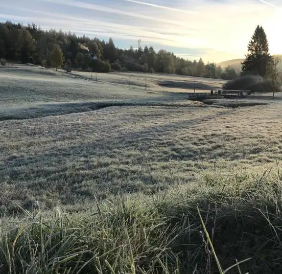 Deluxe-huone Parveke, Bergschlössl Herrenwies