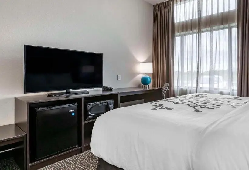 身障者適用キングサイズベッドルーム, Sleep Inn & Suites Milwaukee Franklin