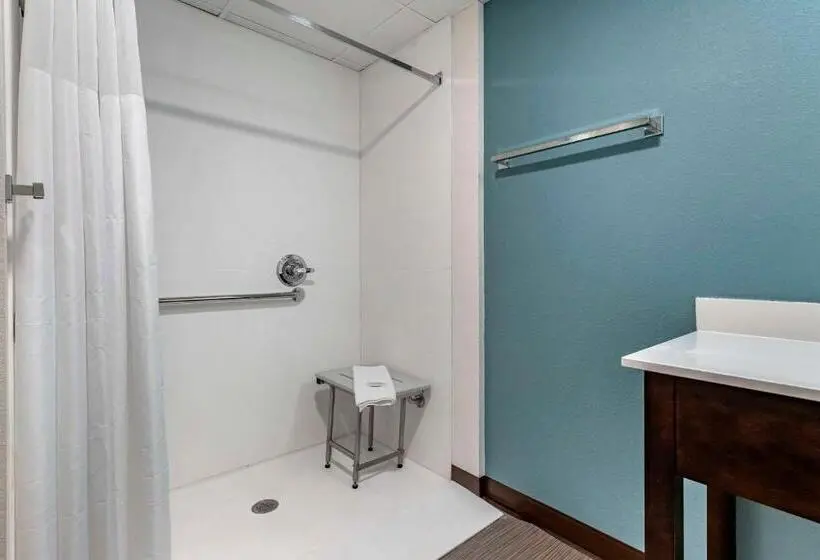 身障者適用キングサイズベッドルーム, Sleep Inn & Suites Milwaukee Franklin
