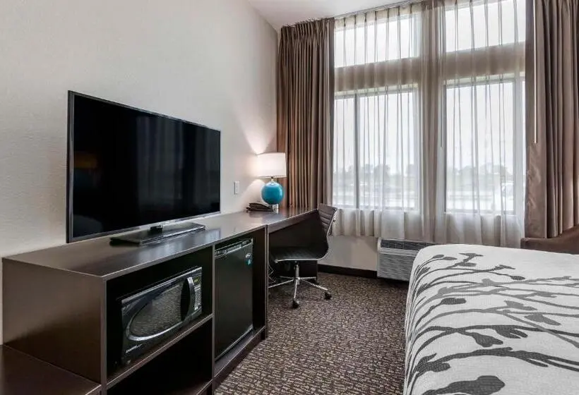 身障者適用キングサイズベッドルーム, Sleep Inn & Suites Milwaukee Franklin