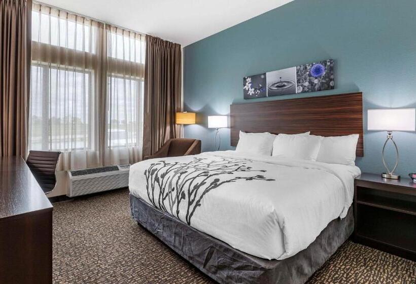 غرفة قياسية سرير كينج, Sleep Inn & Suites Milwaukee Franklin