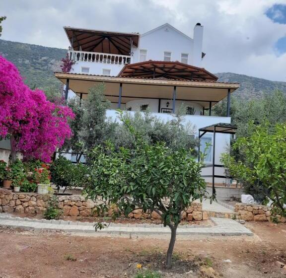 شقة غرفة واحدة مطلة على الحديقة, Villa Köknar Apart