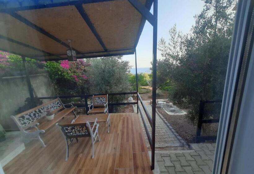 Апартаменты 1 Спальня Вид на Сад, Villa Köknar Apart