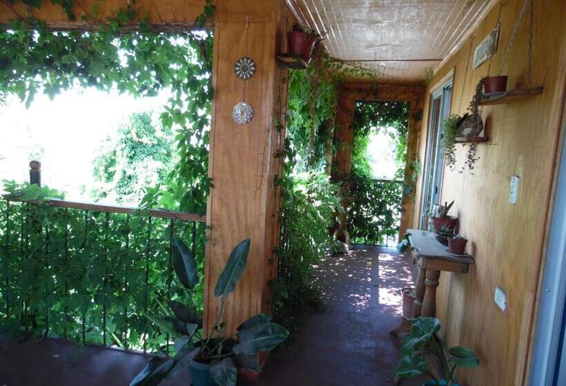 غرفة قياسية مزوَّدة بتراس, Molino Rojo Hostel