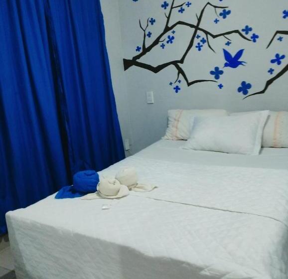 غرفة إقتصادية, Hostel Damaris