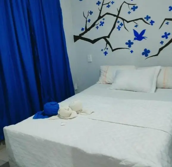 エコノミールーム, Hostel Damaris