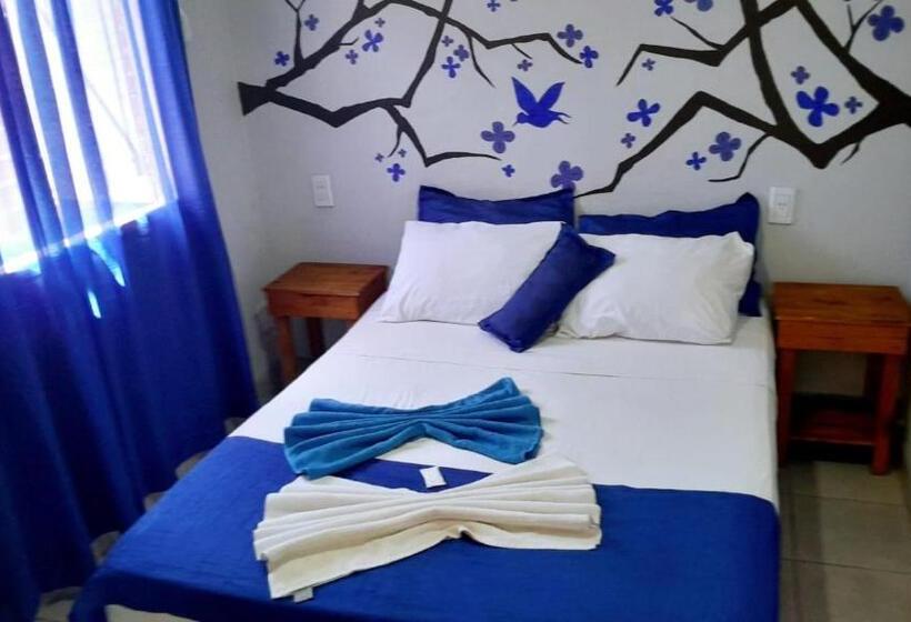 غرفة إقتصادية, Hostel Damaris