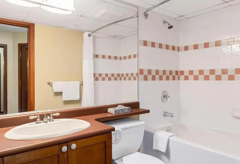 استودیوی سوپریور, 109 Per Night Cascade Lodge Suite Pool 2 Hot Tubs Sauna Gym