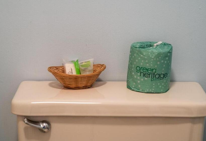 キングサイドベッドのスタンダードワンルーム, Stage Run By The Sea