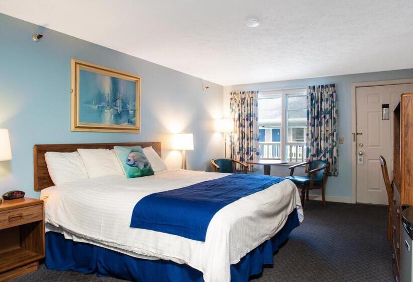 キングサイドベッドのスタンダードワンルーム, Stage Run By The Sea