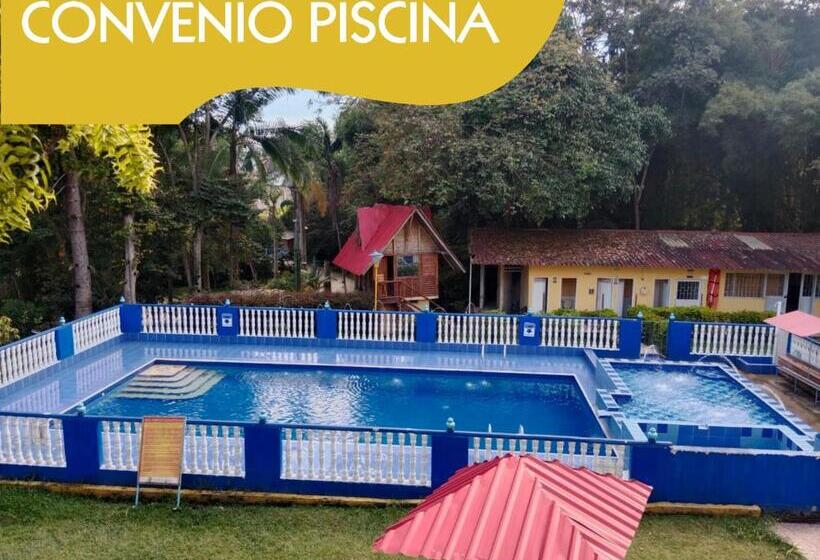 Номер Стандарт, Ocean Fusagasuga