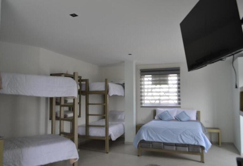 Апартаменты 1 Спальня, Ocean Fusagasuga