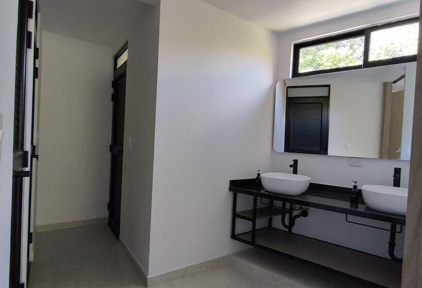 تختخواب در اتاق مشترک, Trip Monkey Del Río