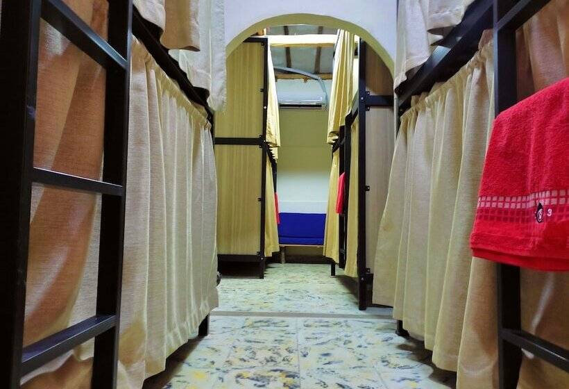 تختخواب در اتاق مشترک, Trip Monkey Del Río