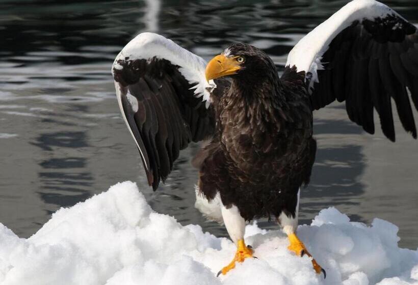 スタンダードスタジオ, Kutekun   Vacation Stay 31439v