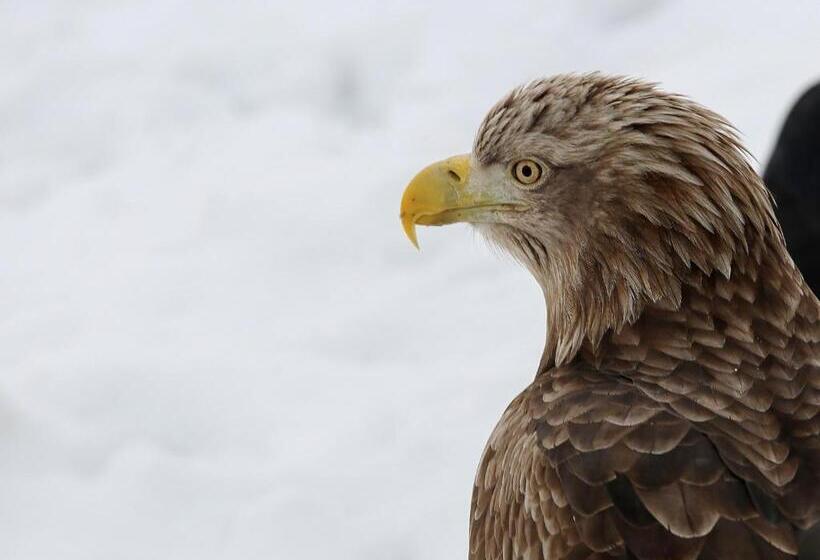 スタンダードスタジオ, Kutekun   Vacation Stay 31439v