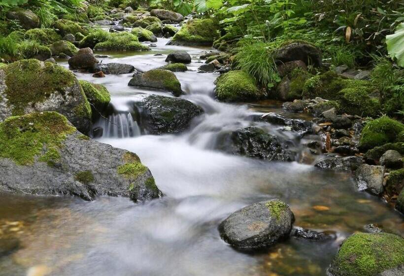 スタンダードスタジオ, Kutekun   Vacation Stay 31439v