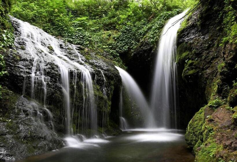 スタンダードスタジオ, Kutekun   Vacation Stay 31439v