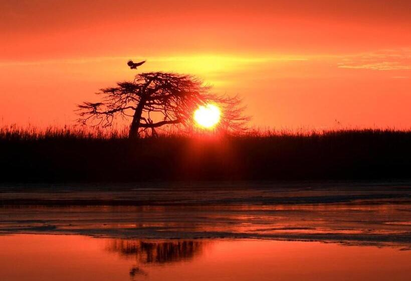 スタンダードスタジオ, Kutekun   Vacation Stay 31439v