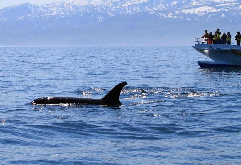 スタンダードスタジオ, Kutekun   Vacation Stay 31439v