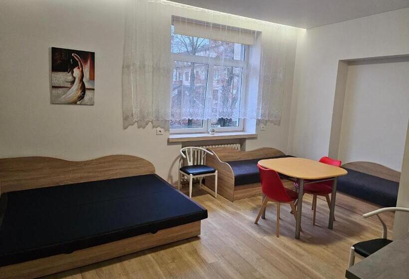 اتاق استاندارد چهار تخته, Kauno Apartamentai Big Room King Size Bed