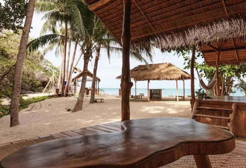 スタンダードバンガロー, Whynam Beach