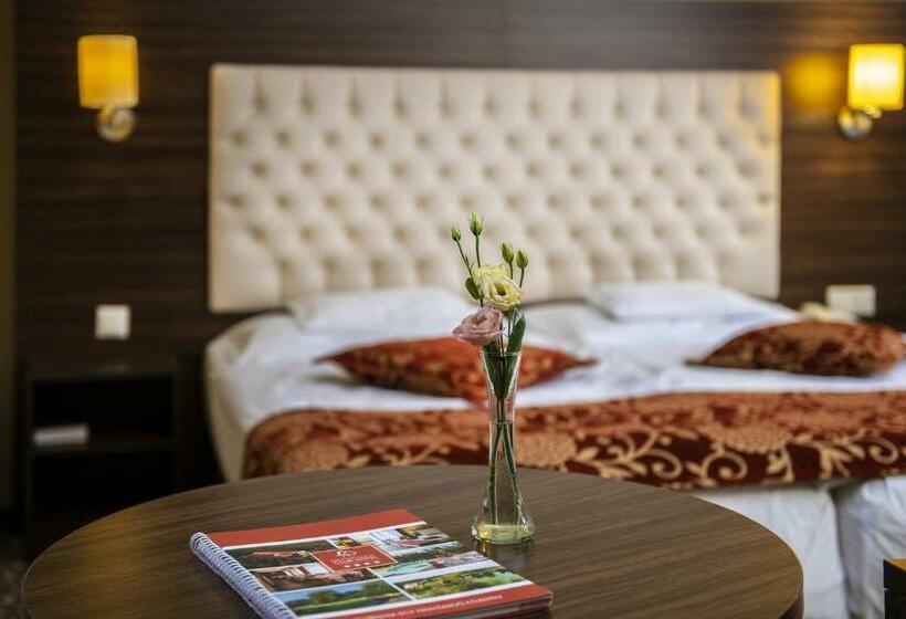 اتاق استاندارد, Erdőspuszta Club Hotel Fenyves