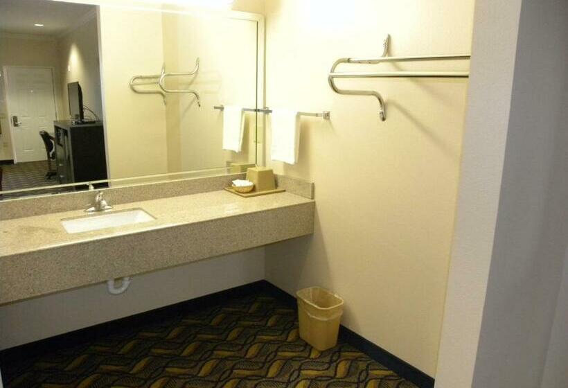 Стандартный Номер Кровать Кинг, Palace Inn Kingwood