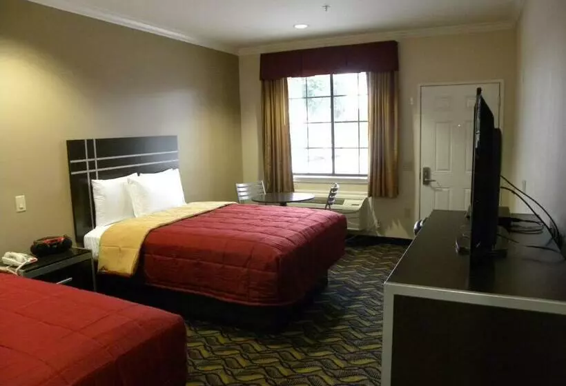 スタンダードルーム, Palace Inn Kingwood