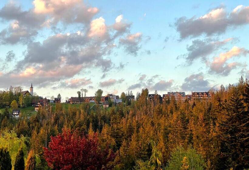 Номер Deluxe Вид на Сад, Pensjonat U Ani