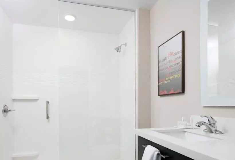 スタンダードルーム, Towneplace Suites By Marriott Kansas City Airport