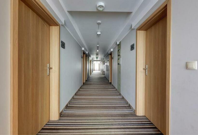 غرفة قياسية فردية, Leśny