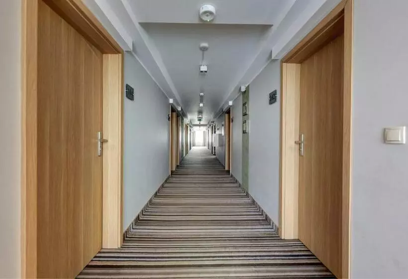 اتاق استاندارد یک نفره, Leśny