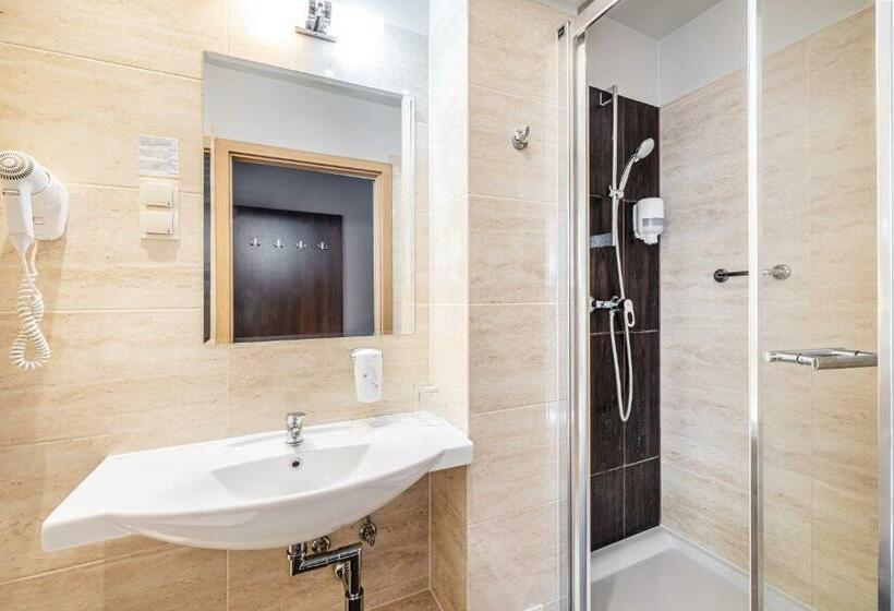 غرفة قياسية, Leśny