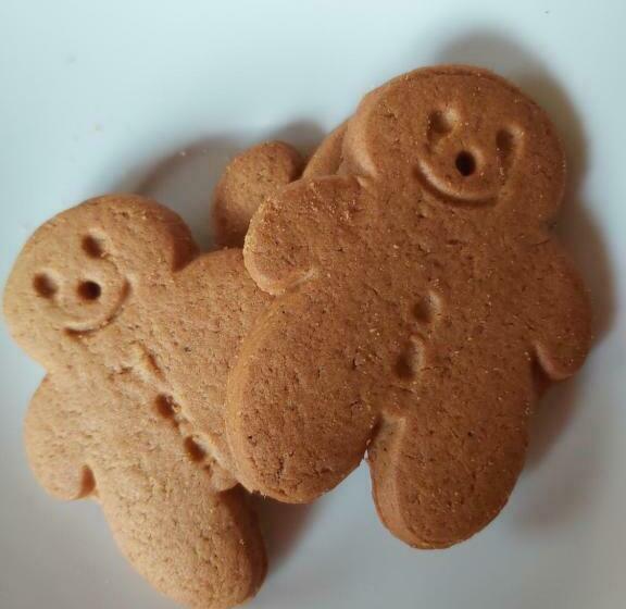 스탠다드 룸, Villa Lessing