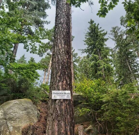 스탠다드 싱글 룸, Villa Lessing