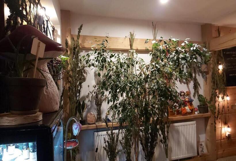 스탠다드 룸, Villa Lessing