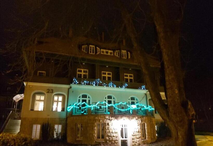 Номер Deluxe с Балконом, Villa Lessing