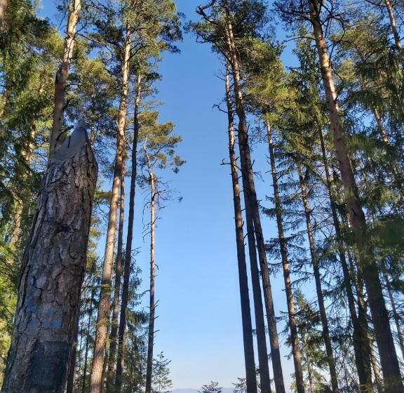 스탠다드 룸, Villa Lessing