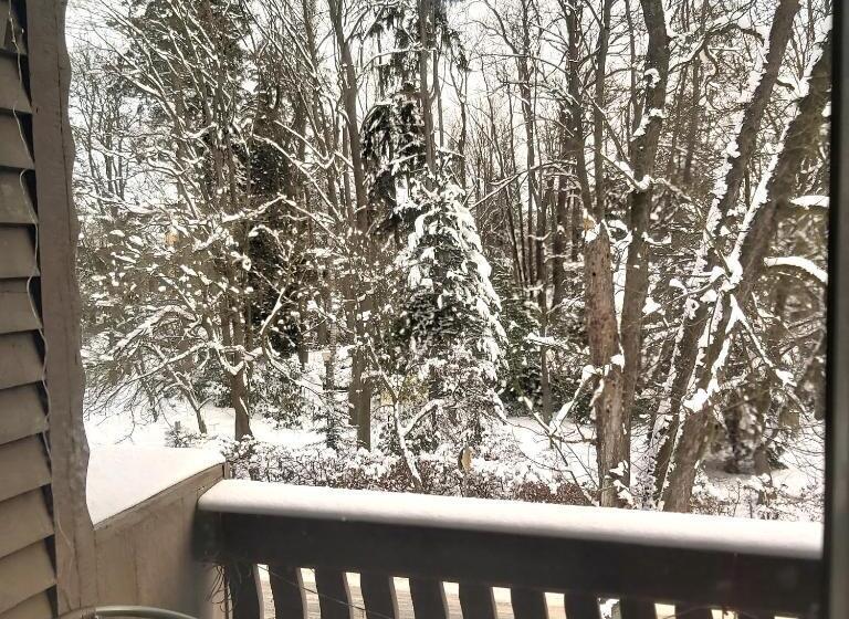 스탠다드 싱글 룸, Villa Lessing