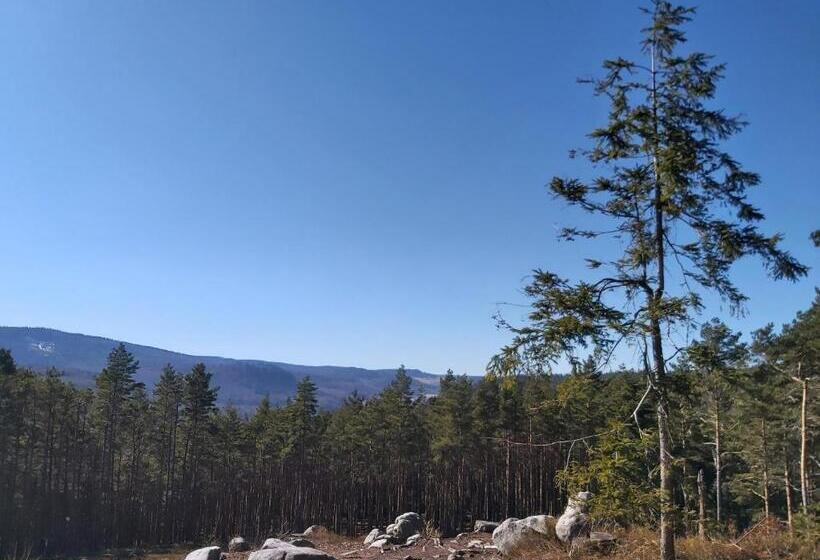 스탠다드 싱글 룸, Villa Lessing