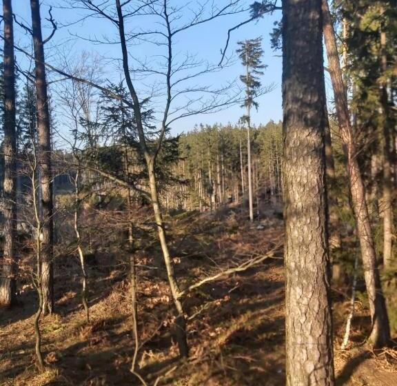 스탠다드 싱글 룸, Villa Lessing