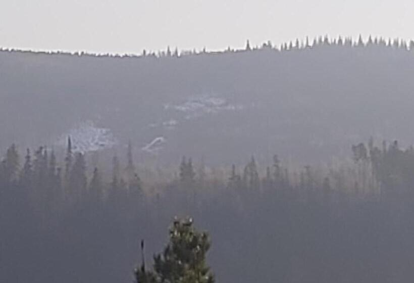 스탠다드 싱글 룸, Villa Lessing