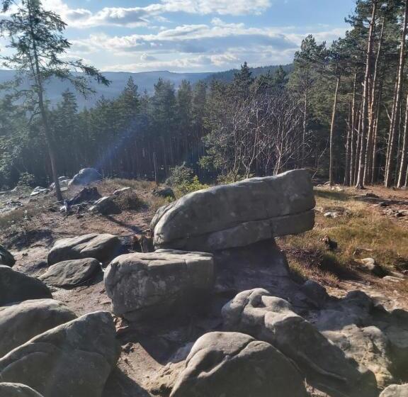 스탠다드 싱글 룸, Villa Lessing