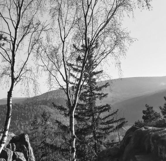 발코니 디럭스 룸, Villa Lessing