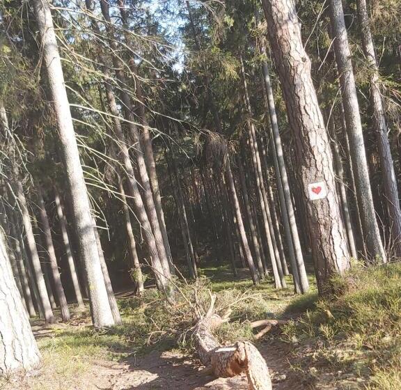 스탠다드 룸, Villa Lessing