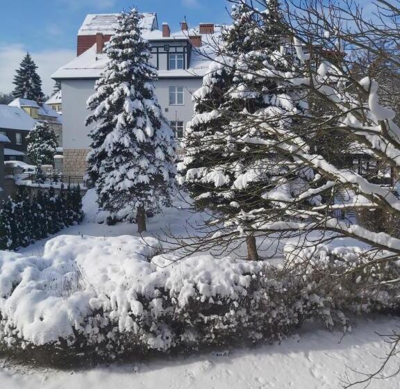 스탠다드 트리플 룸, Villa Lessing