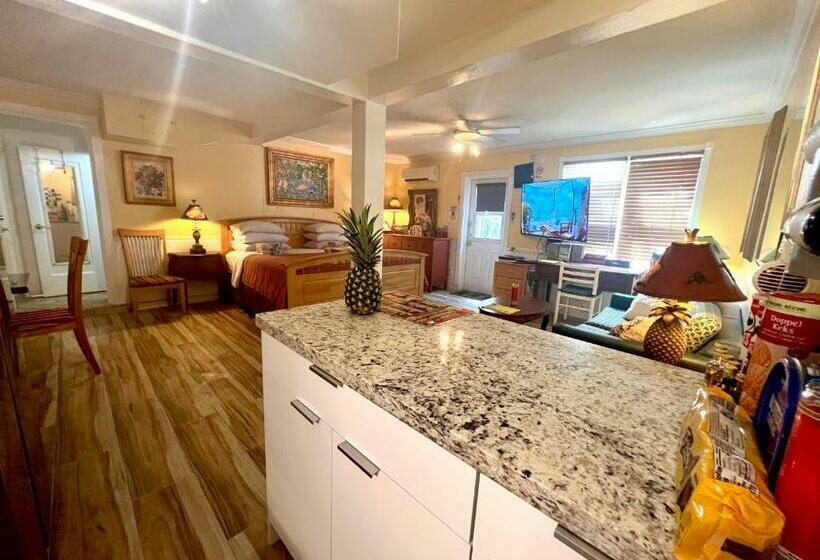 סטודיו סטנדרט, מיטה זוגית, Villa Sinclair Beach Suites And Spa